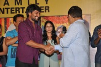 Bhale Bhale Magadivoy Movie  Successmeet Photos